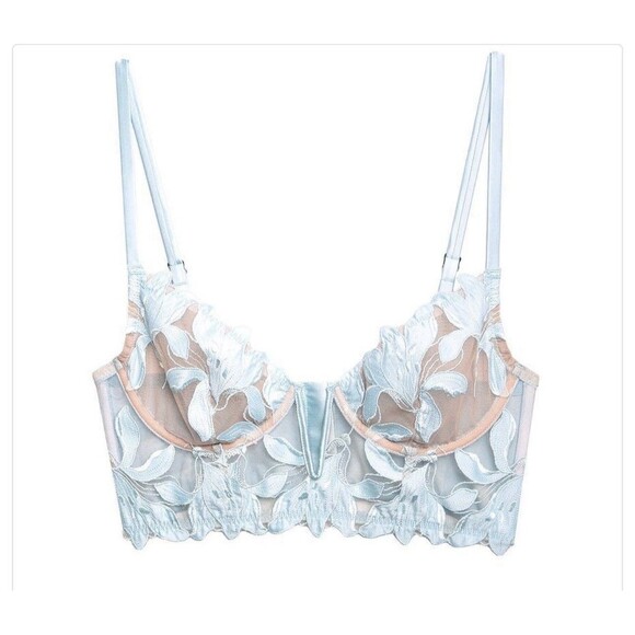 Fleur du Mal Other - Fleur du Mal Lily Embroidered Sheer Mesh Coquette Silk Glacier Bra Size 42DD NWT